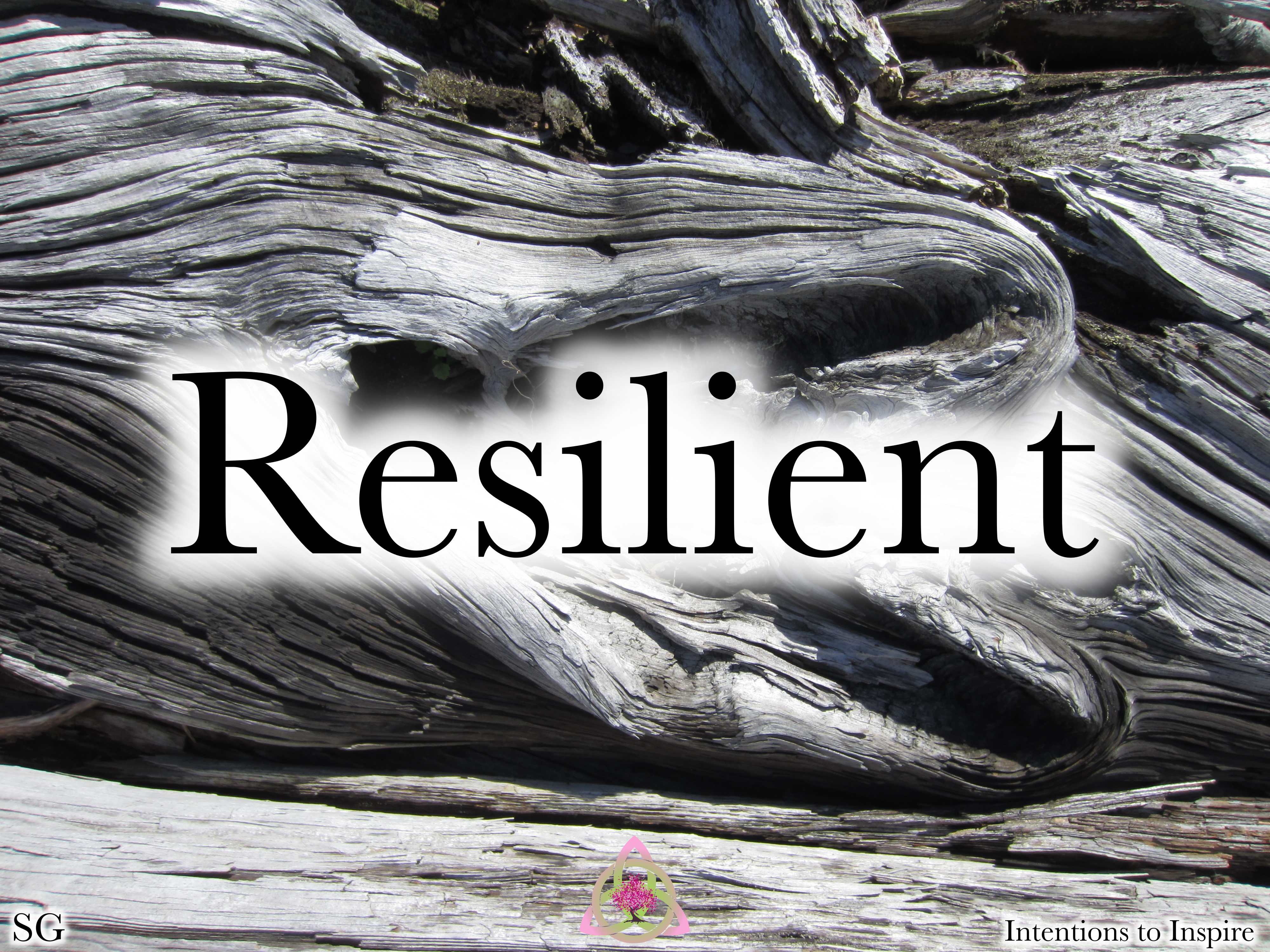 133-19-7-Resilient-SG-2