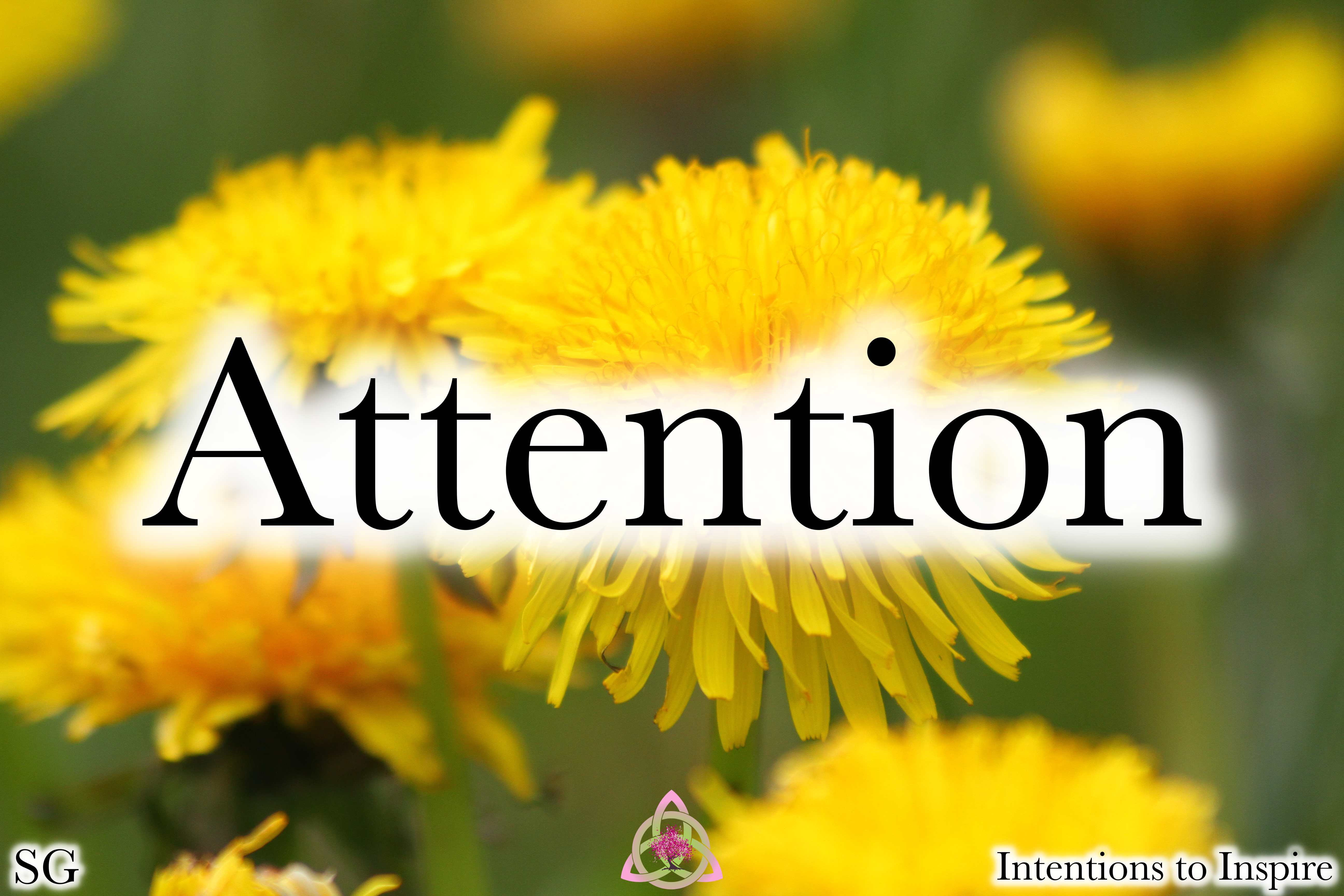 142-21-2-Attention-SG-2