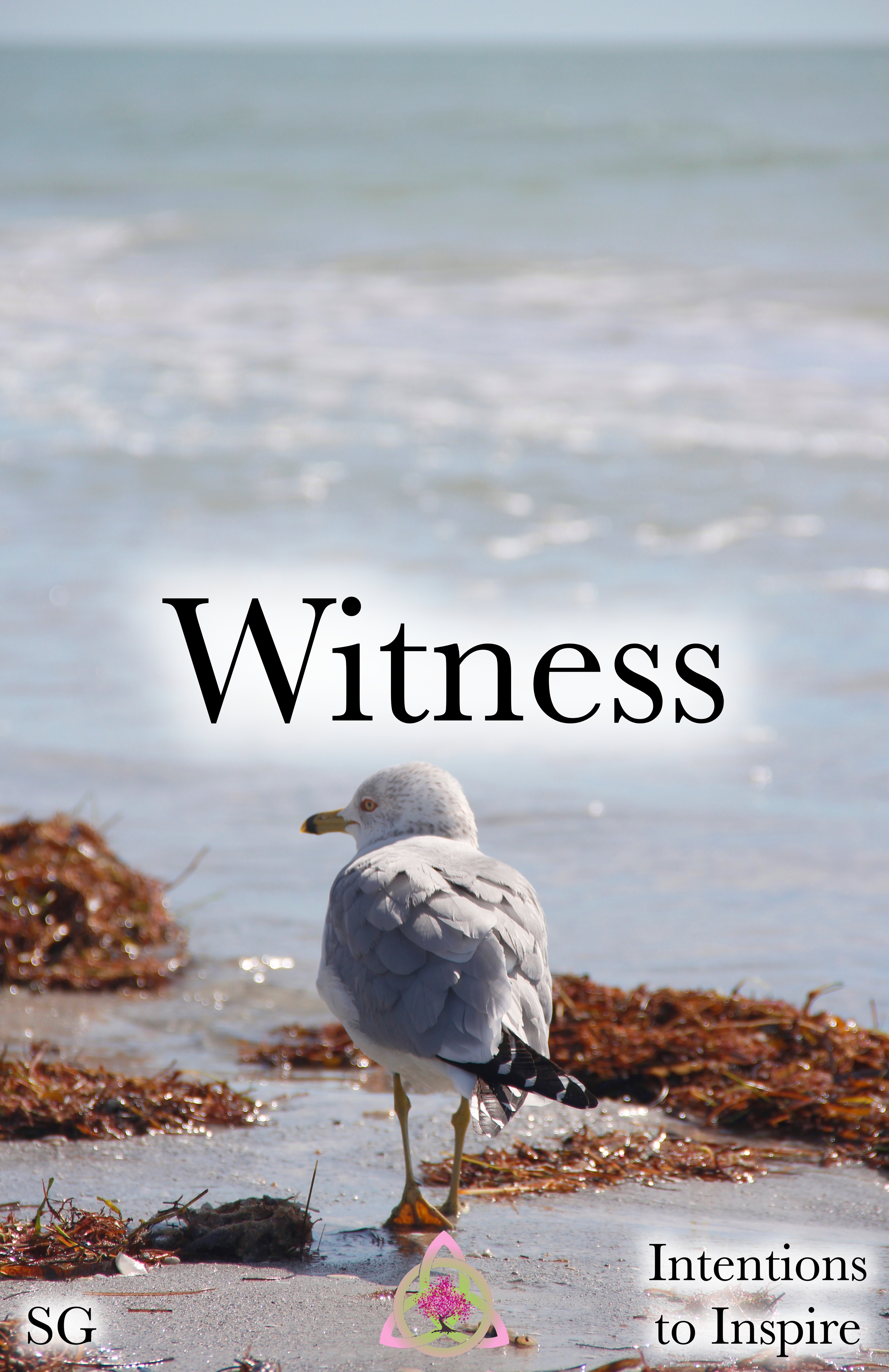 261-38-2-Witness-SG 2