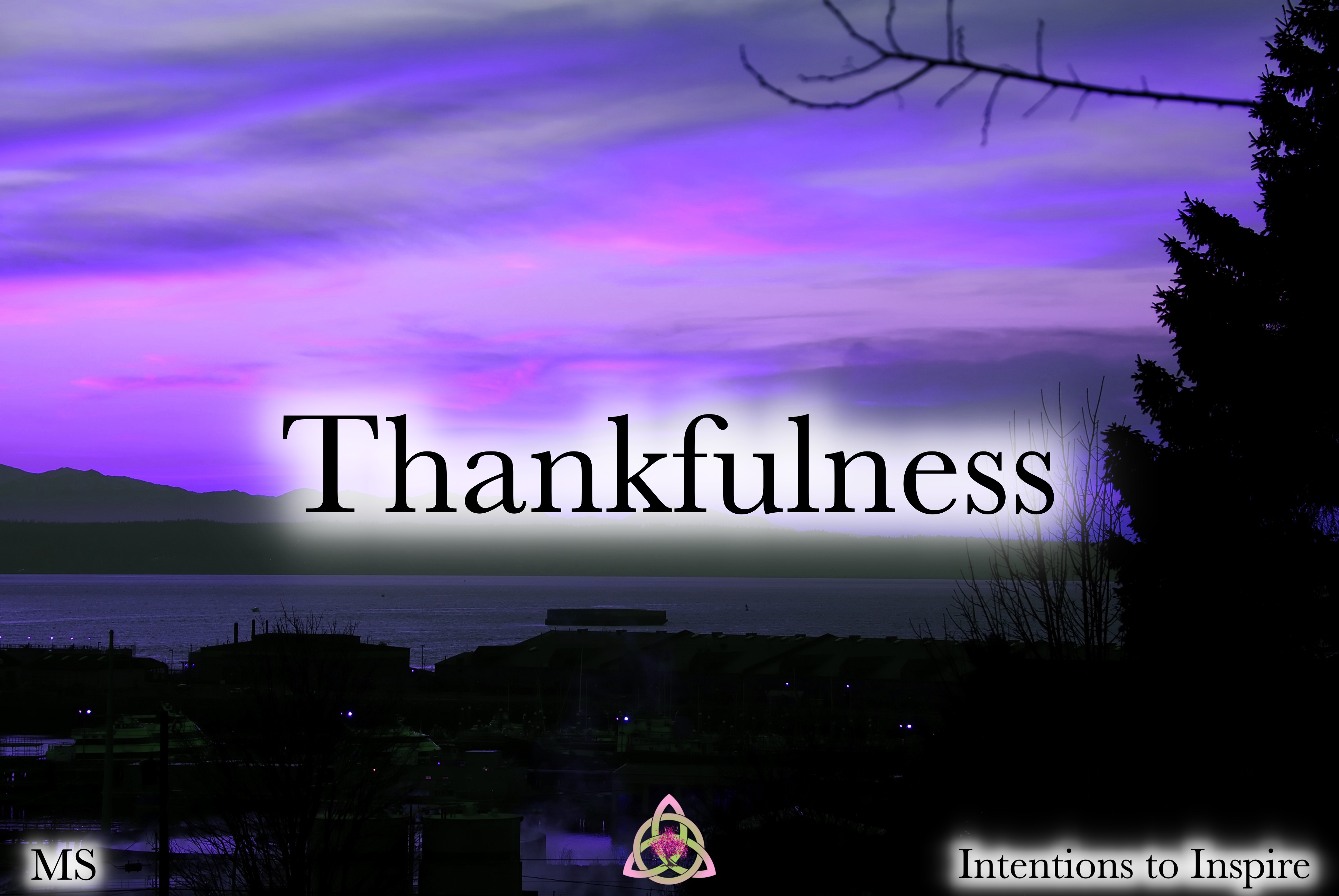 266-38-7-Thankfulness-MS 2
