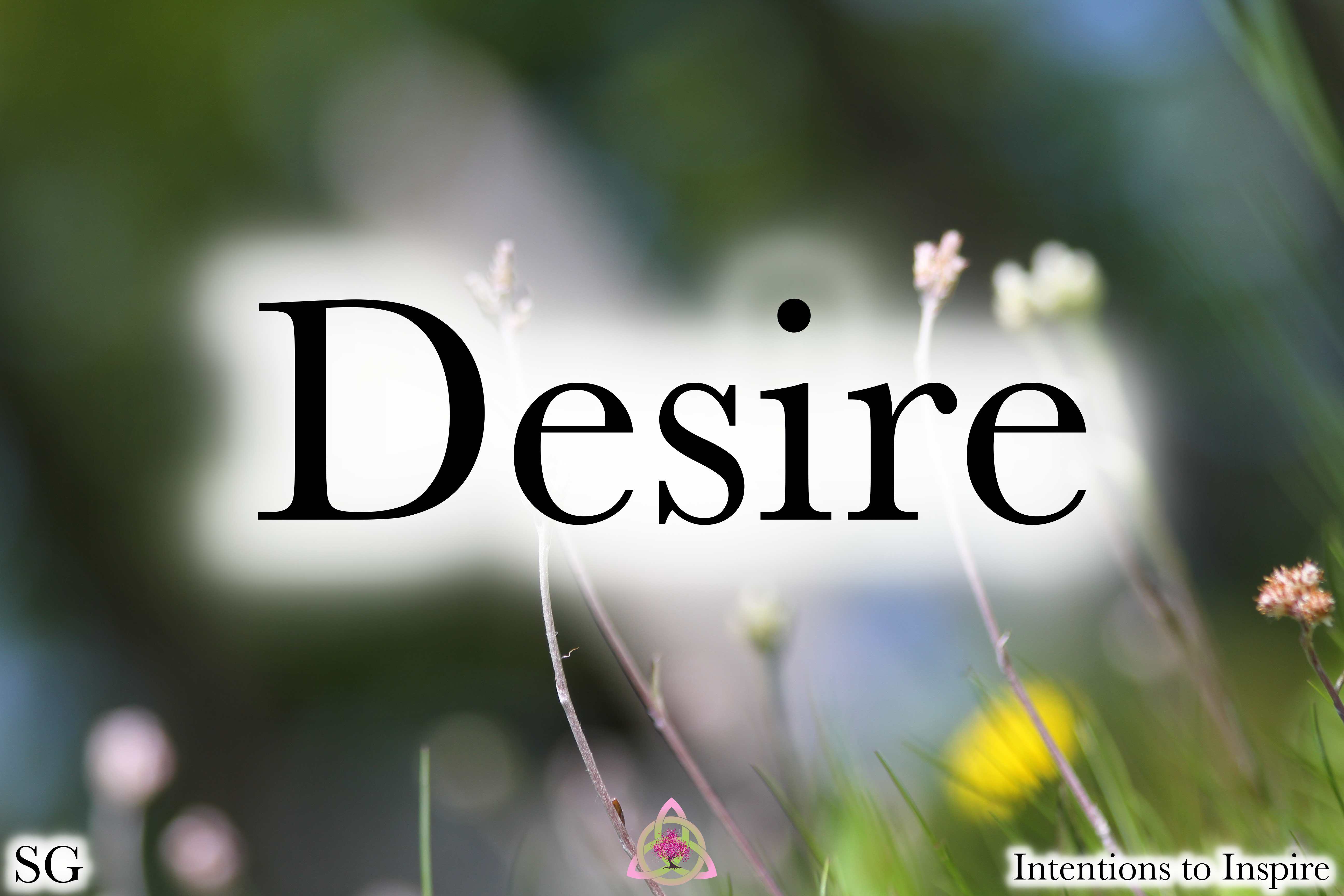 166-24-5-Desire-SG-2