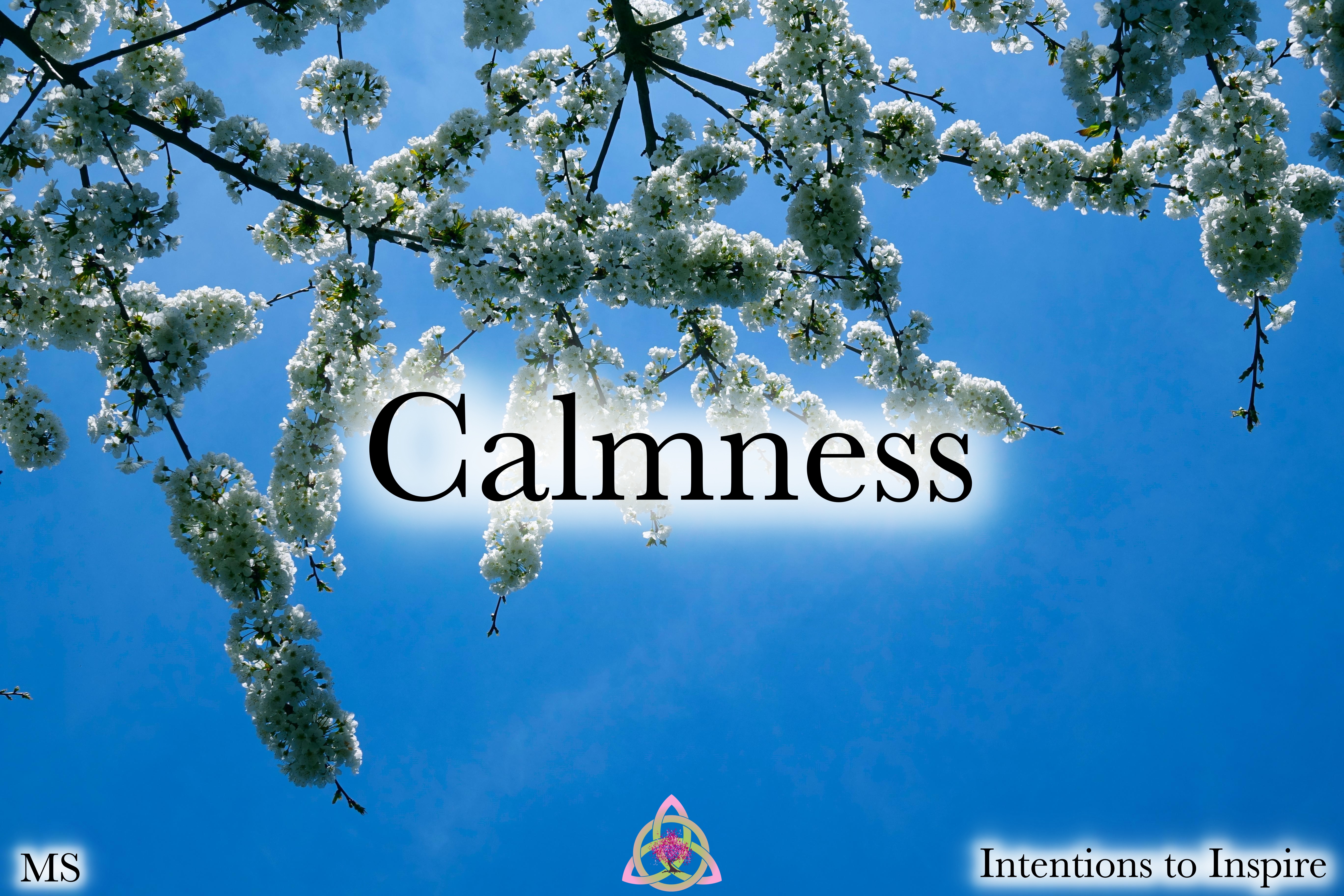 247-36-2-Calmness-MS 2.jpg