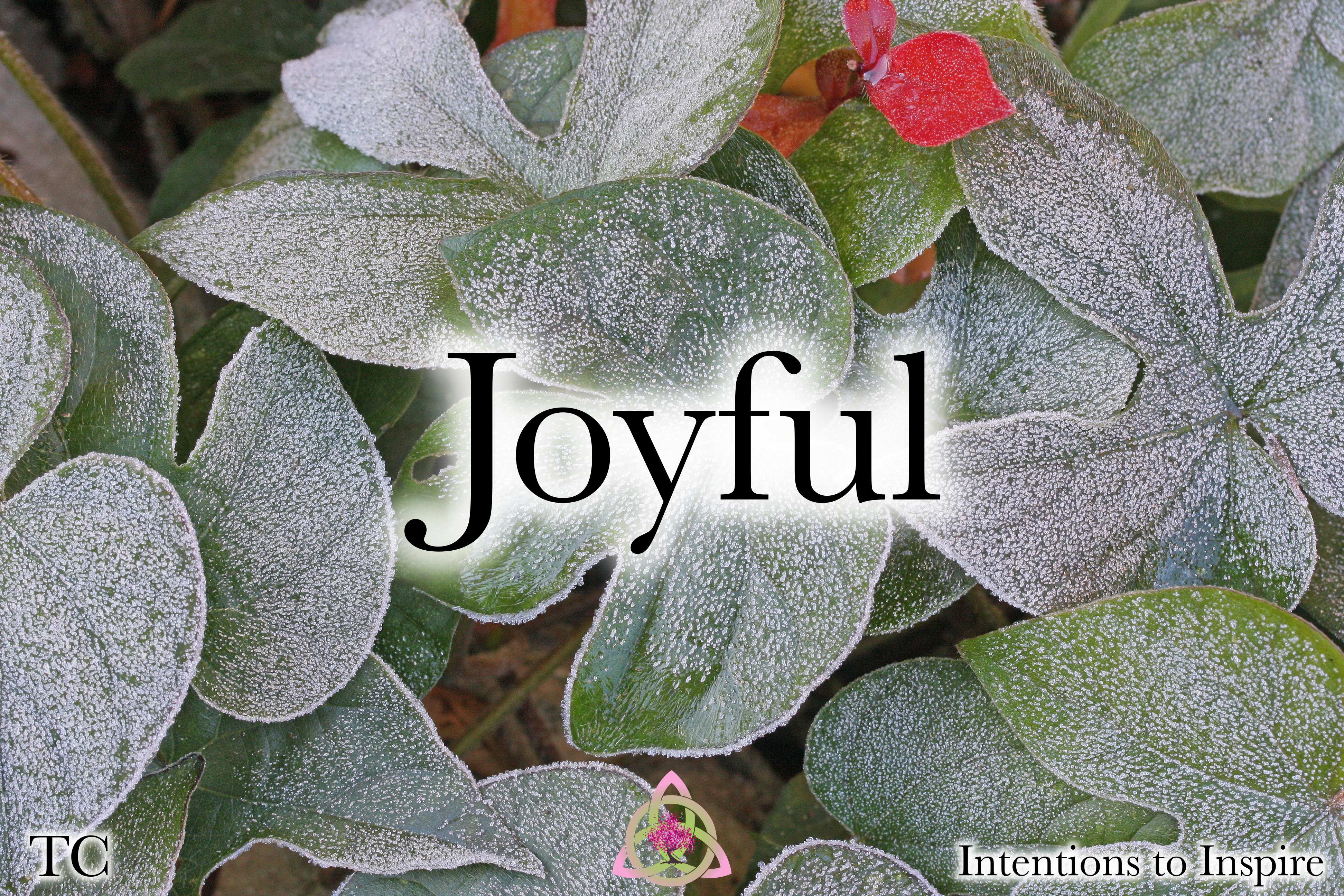 317-46-2-Joyful-TC 2