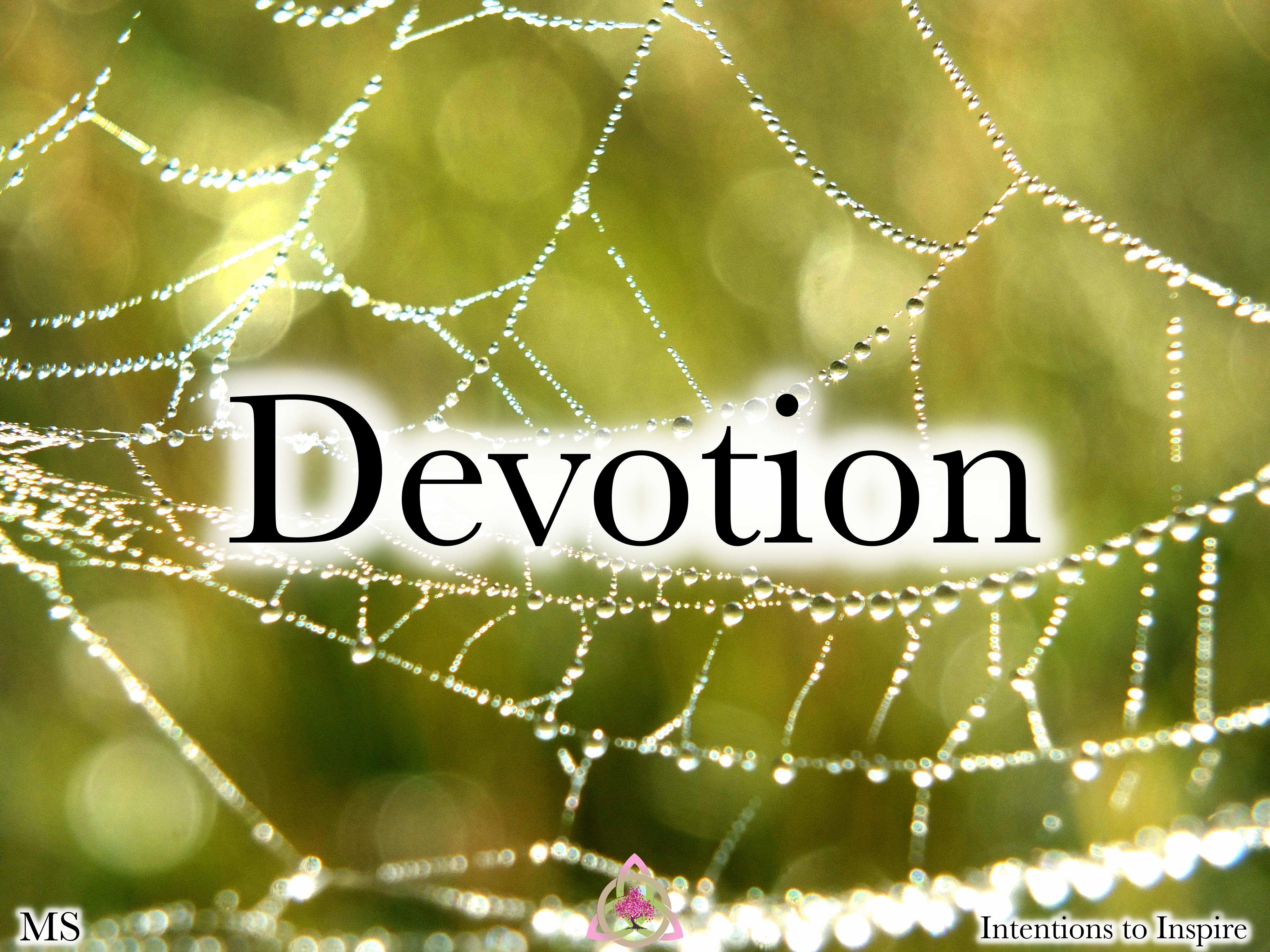 334-48-5-Devotion-MS 2